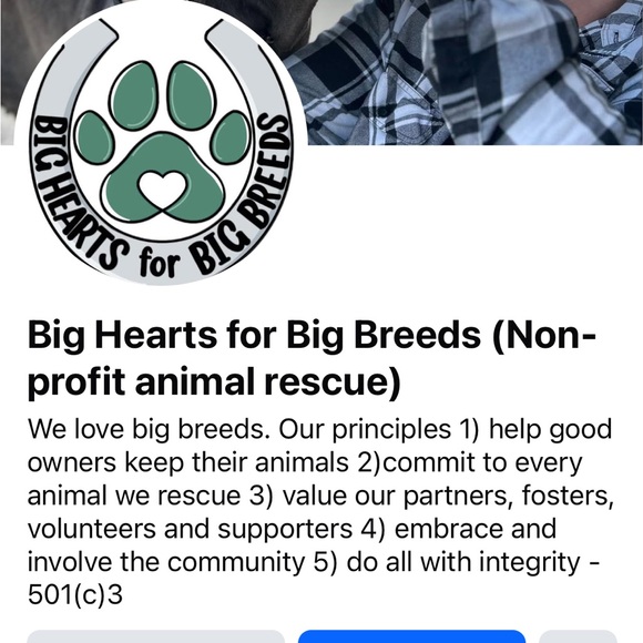 Meet your Posher, Lisa - Picture 17 of 17